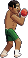 Diego “El Toro” Ramírez